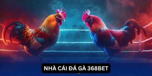 Giới thiệu về 368Bet