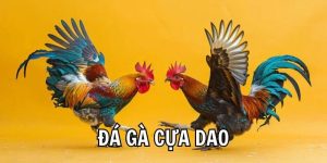 Đá gà cựa dao 368Bet